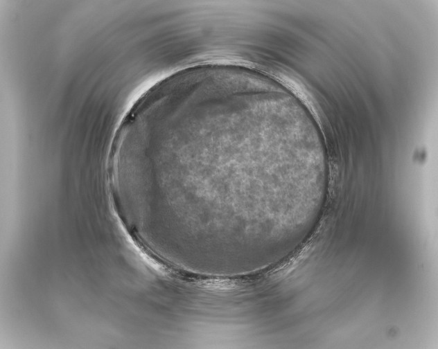 X0000093471141200711021226