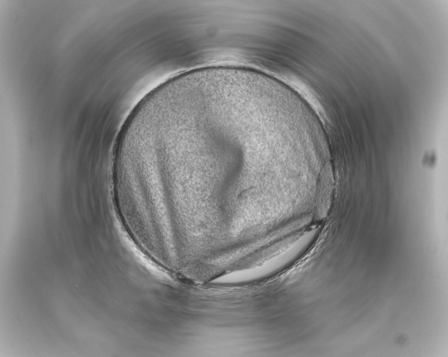 X0000093471142200711021226