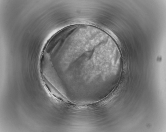 X0000093471144200711021226