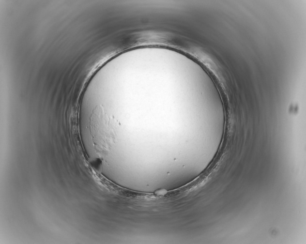 X0000093471145200711021226