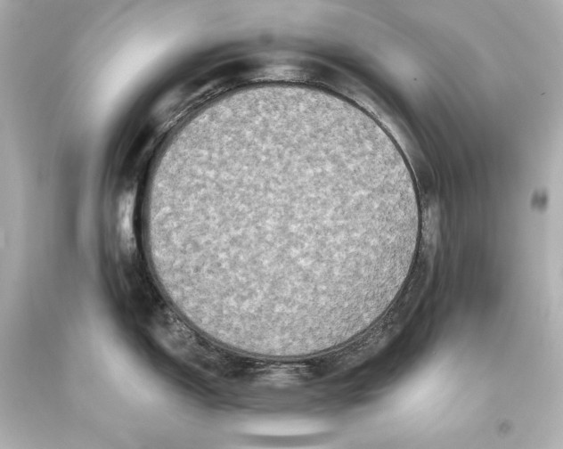 X0000093471150200711021226