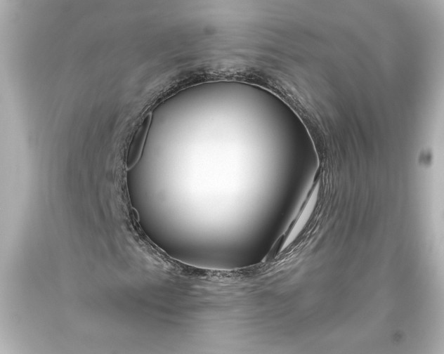 X0000093471153200711021225