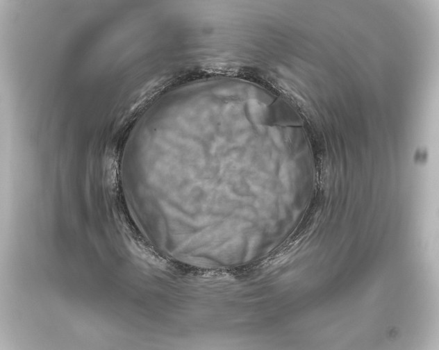 X0000093471154200711021225