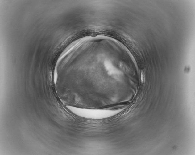 X0000093471155200711021225