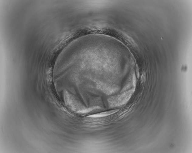 X0000093471156200711021225