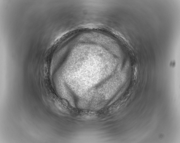 X0000093471158200711021225