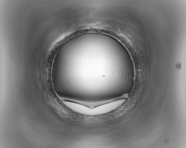 X0000093471159200711021225