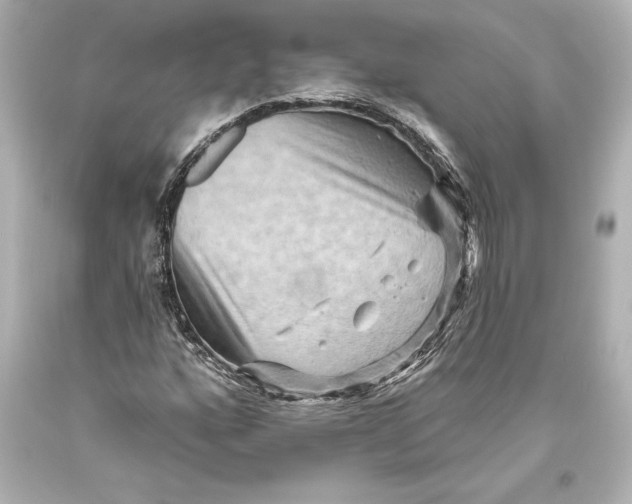 X0000093471160200711021225