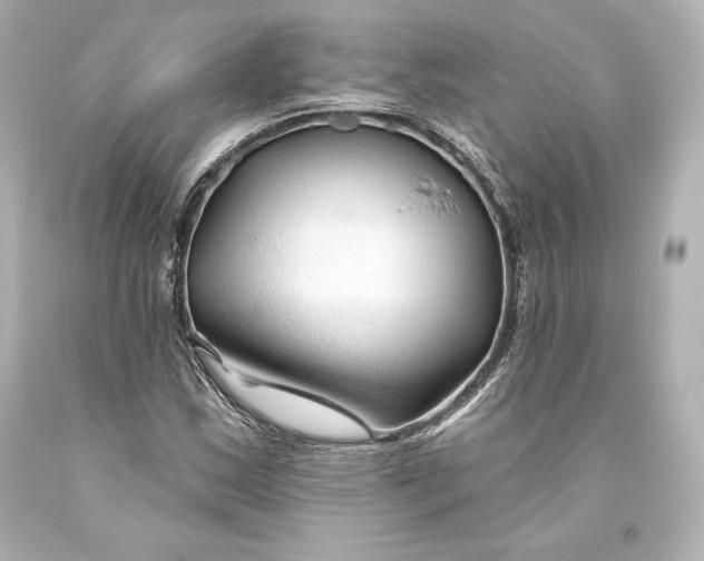 X0000093471163200711021225