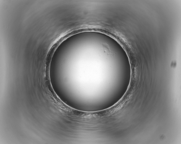 X0000093471165200711021225