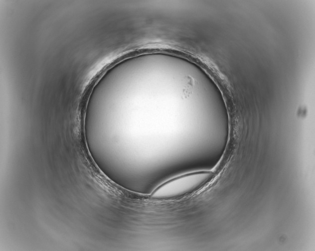 X0000093471167200711021225