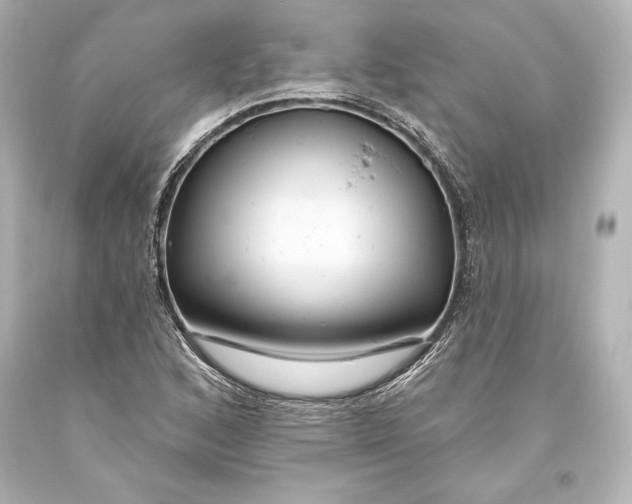 X0000093471168200711021225