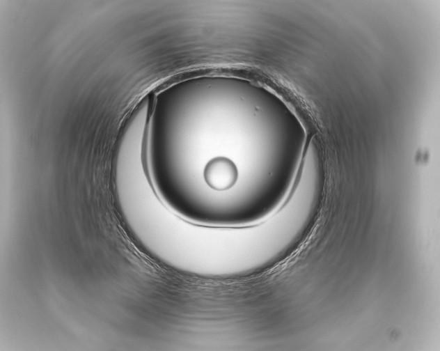 X0000093471169200711021225