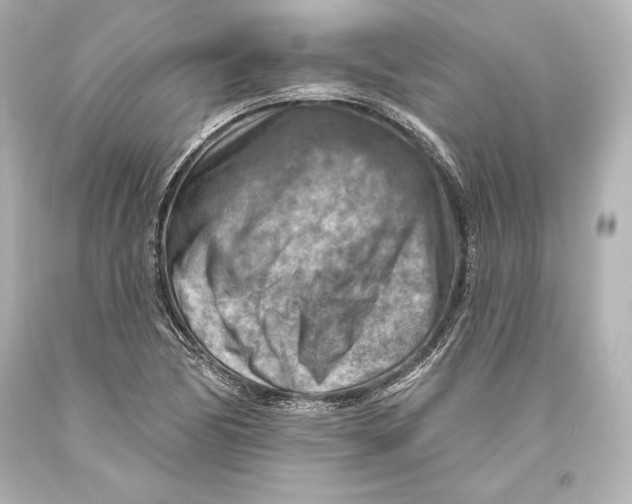 X0000093471170200711021225