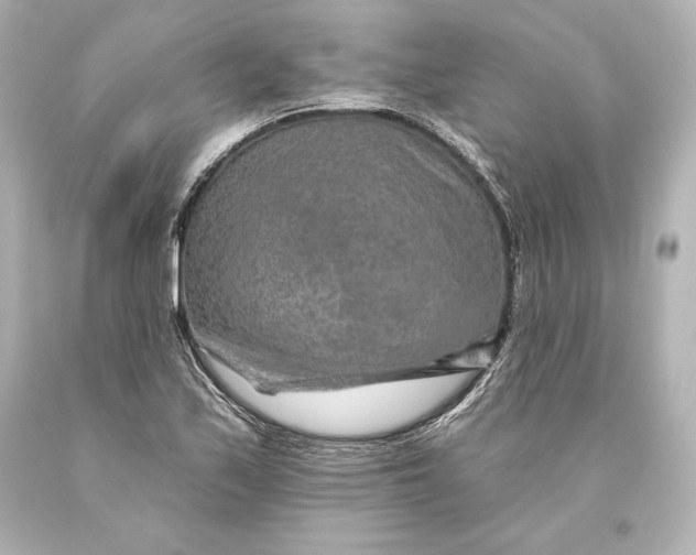 X0000093471171200711021225