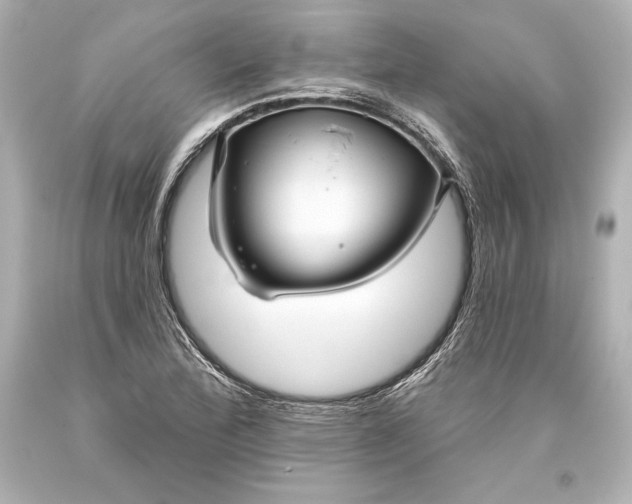 X0000093471172200711021225