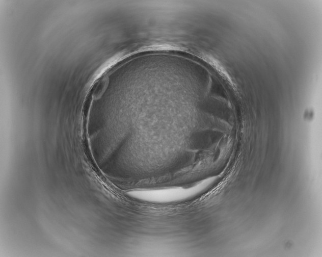 X0000093471173200711021225