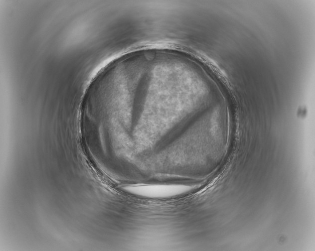 X0000093471174200711021225