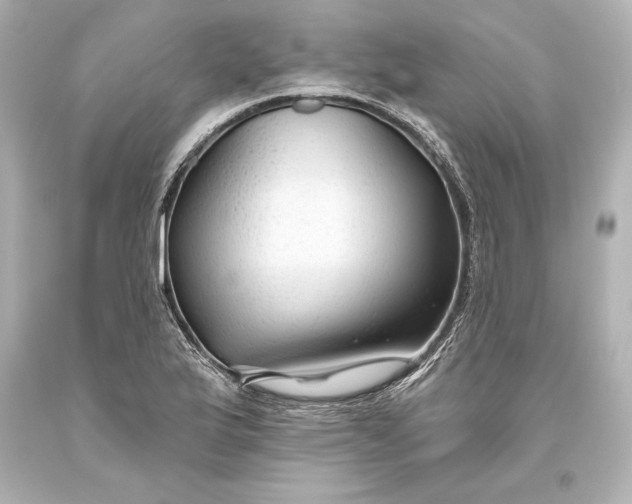 X0000093471175200711021225