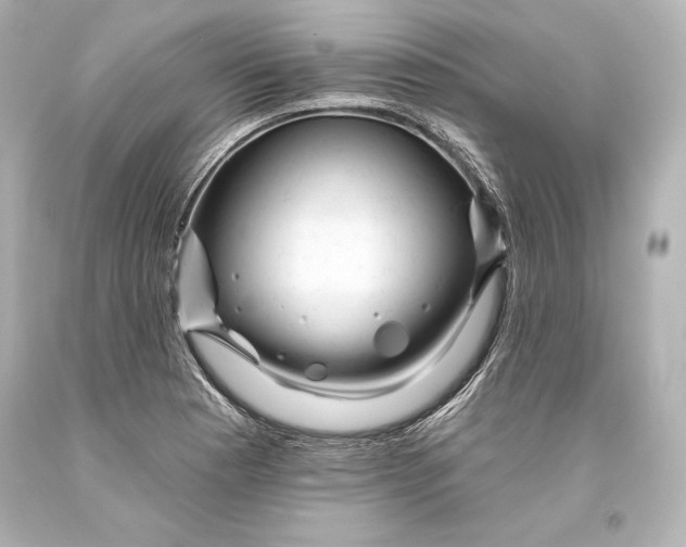 X0000093471177200711021225