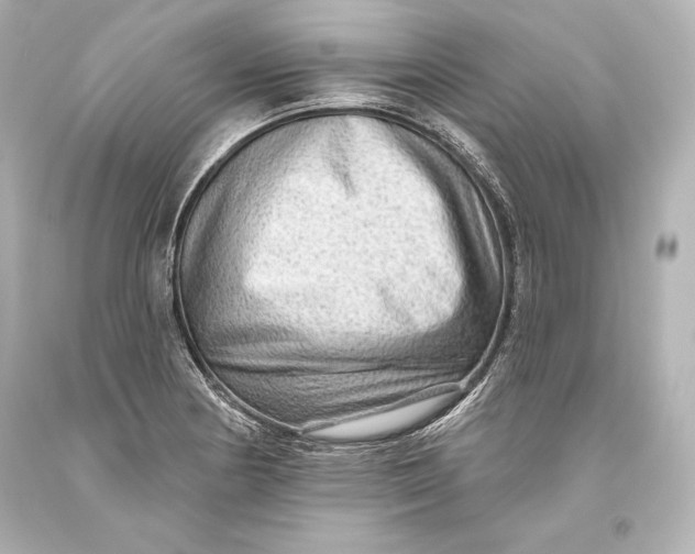 X0000093471178200711021225