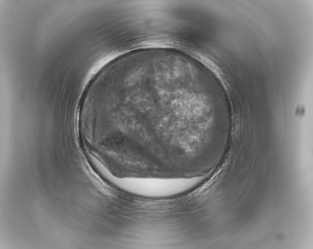 X0000093471179200711021225