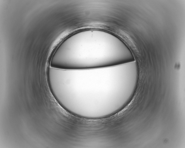 X0000093471180200711021225