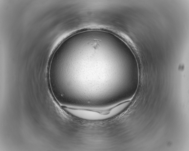 X0000093471183200711021225