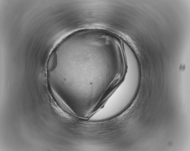 X0000093471184200711021225