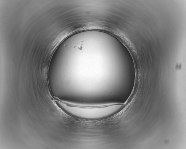 X0000093471185200711021225