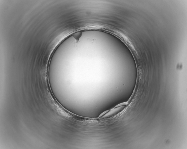 X0000093471186200711021225