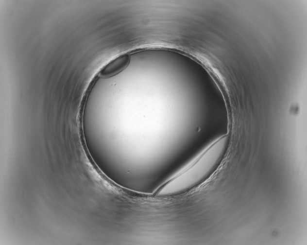 X0000093471189200711021225