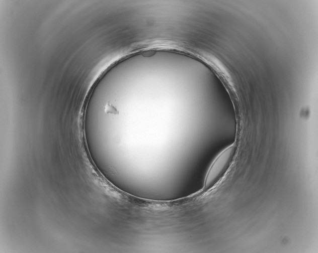 X0000093471190200711021225