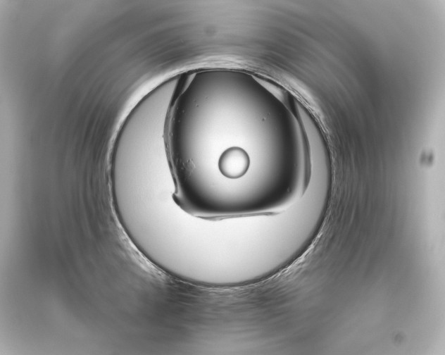 X0000093471192200711021225