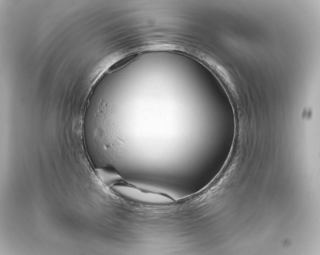 X0000093471193200711021225