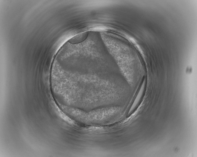 X0000093471194200711021225