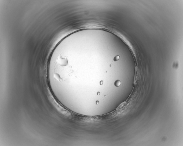 X0000093471195200711021225