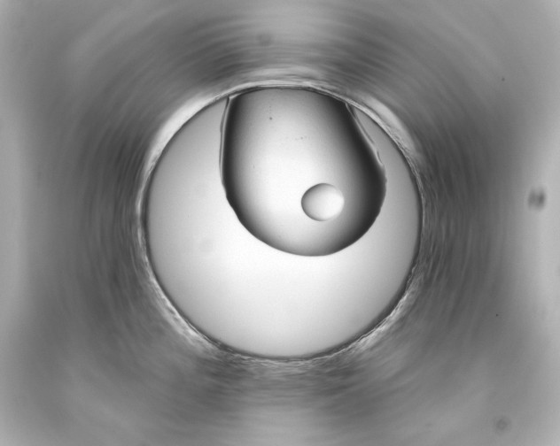 X0000093471196200711021225