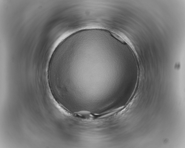 X0000093471197200711021225