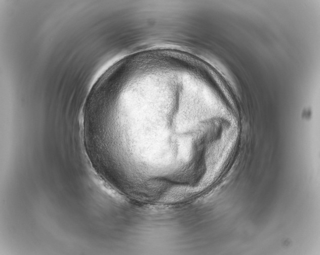 X0000093471198200711021225