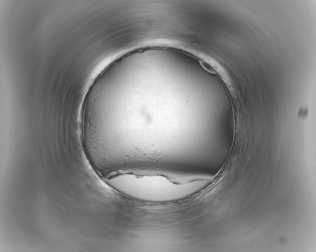 X0000093471199200711021225