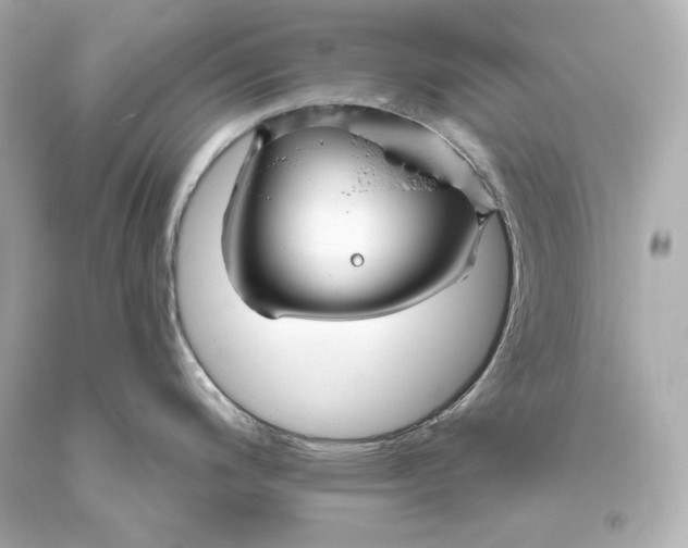 X0000093471200200711021225