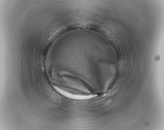 X0000093471202200711021224