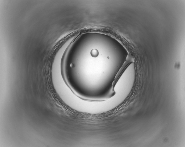 X0000093471206200711021224