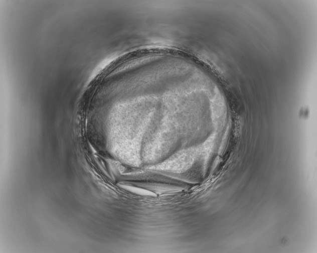 X0000093471208200711021224