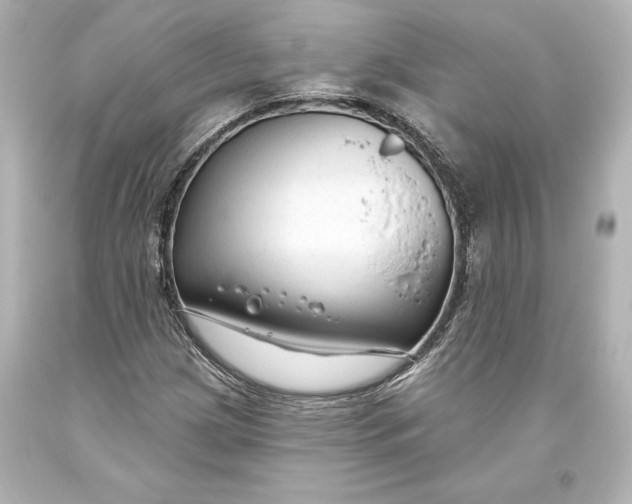 X0000093471209200711021224