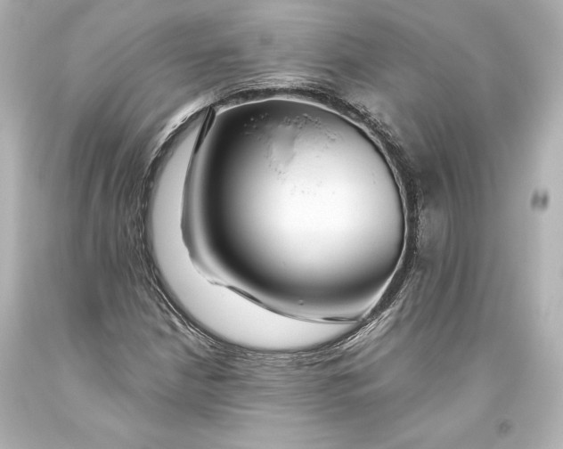 X0000093471210200711021224