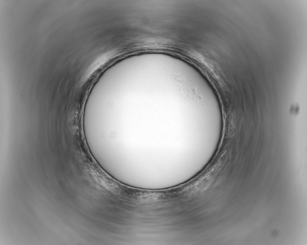 X0000093471211200711021224