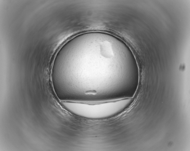 X0000093471212200711021224