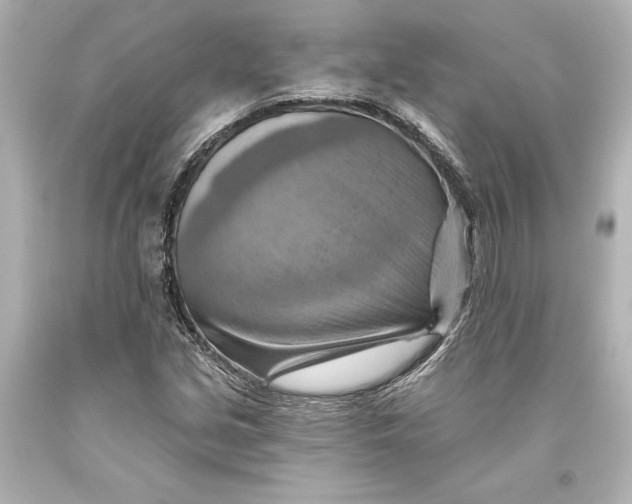 X0000093471213200711021224